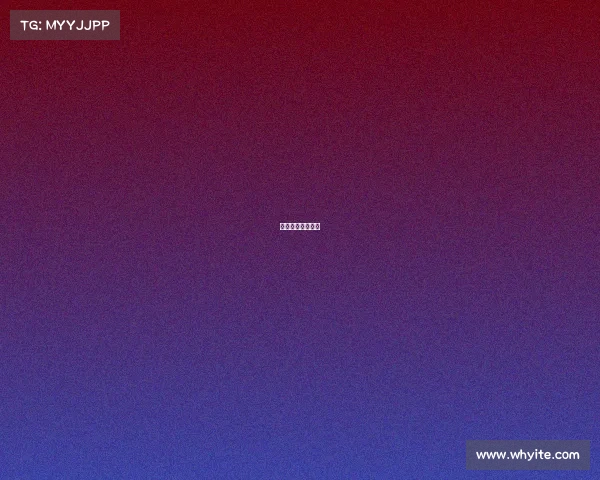 小牛球队赛事官网